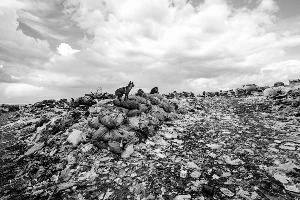 La vida en la basura 2
