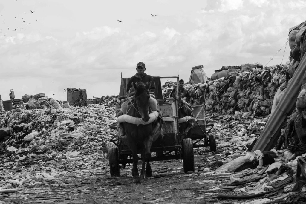 La vida en la basura 3