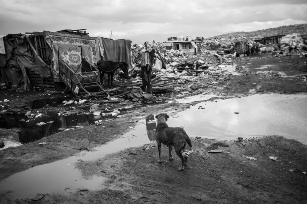 La vida en la basura 4